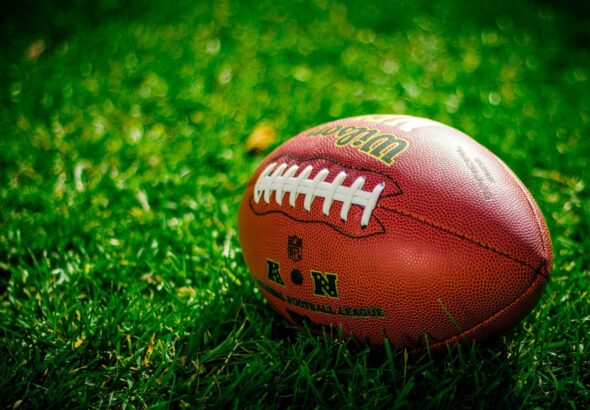 StockSnap_HWDNFMZHRP